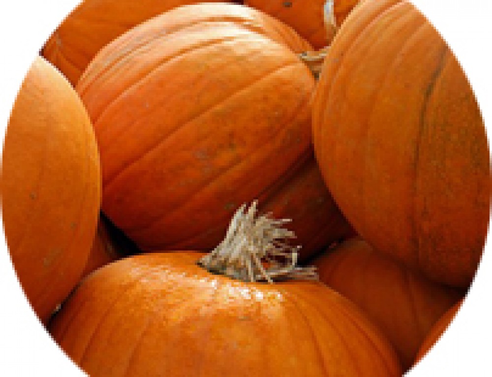 Satsumas and Vitamin C Nutritional Therapy