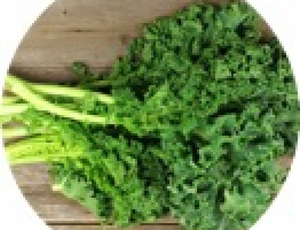 Satsumas and Vitamin C Nutritional Therapy